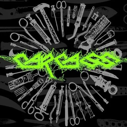 cfhgoregrinder.sol Solana Name Service (SNS and .sol domain) PFP